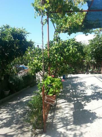 Pavlinovic Jure Apartment Makarska Bagian luar foto