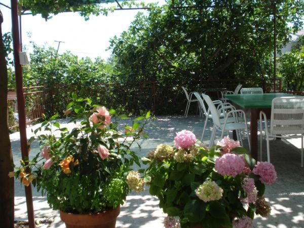 Pavlinovic Jure Apartment Makarska Bagian luar foto